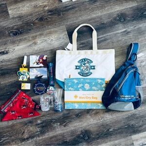 Disney Cruise Line Lot – Castaway Club & Souvenirs ✨🚢
